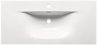 SKY100/DP-8099 cabinet basin-double packing