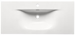 SKY120/DP-8099 cabinet basin-double packing